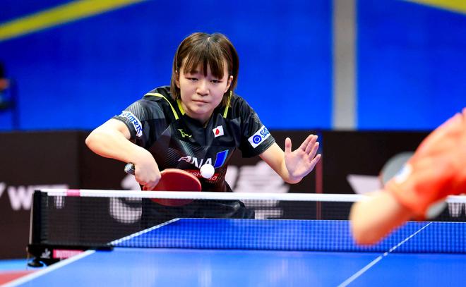 裁判风格会 裁判风格会