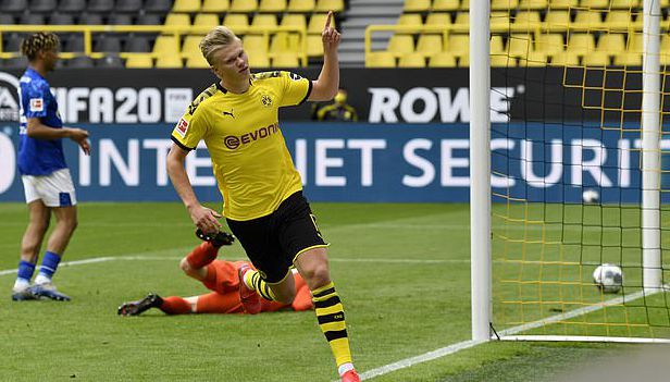 球世界的真 球世界的真