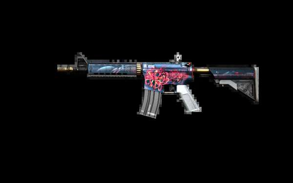 行动证明了 行动证明了