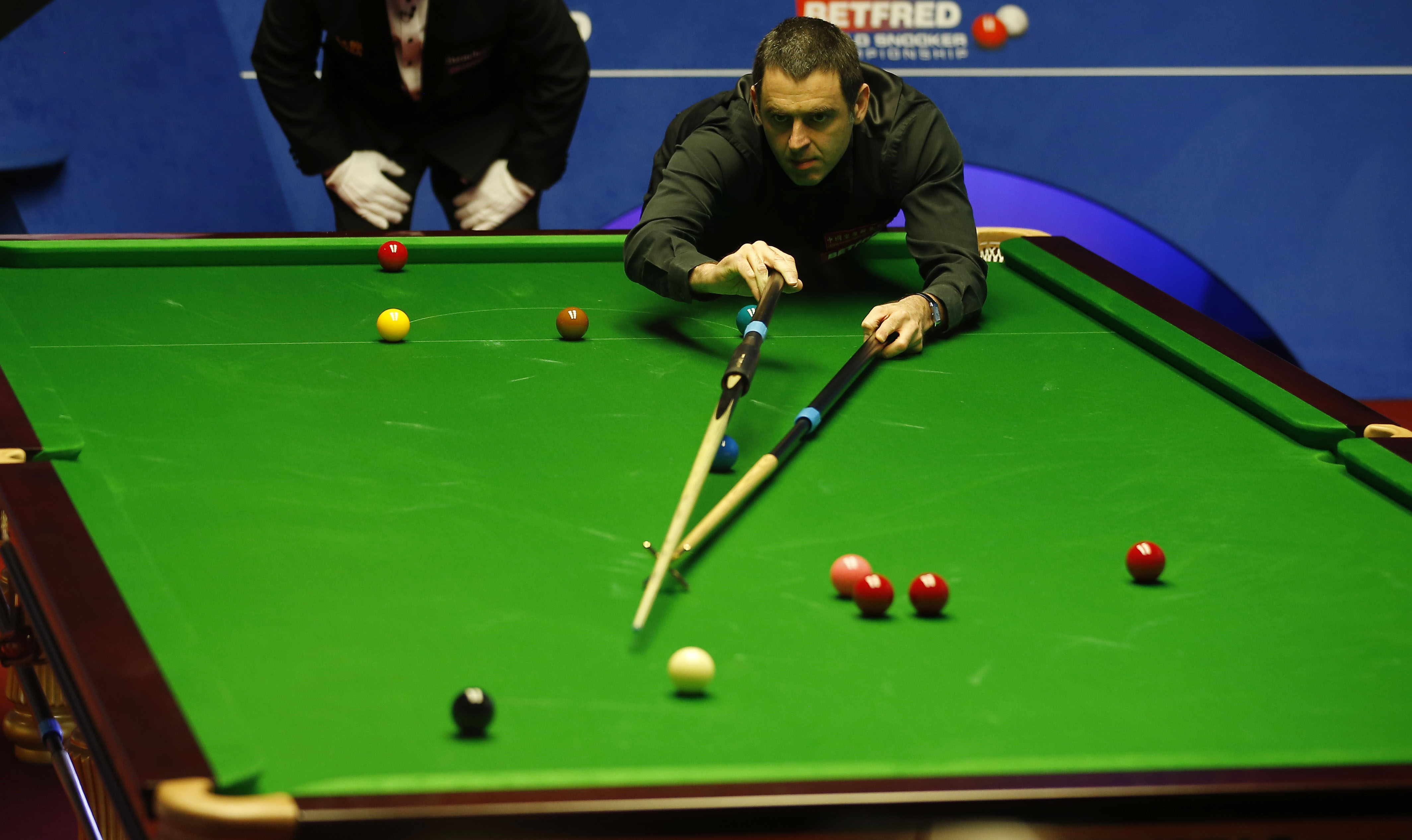 我会为每一 我会为每一