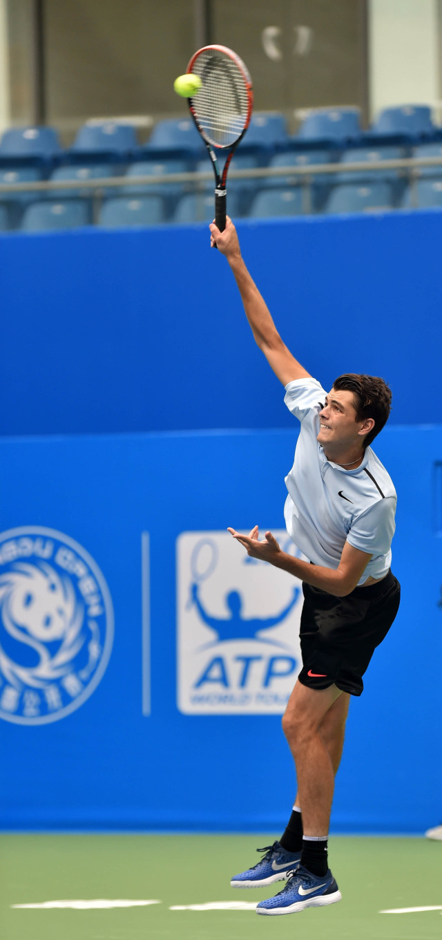 作为智力体 作为智力体